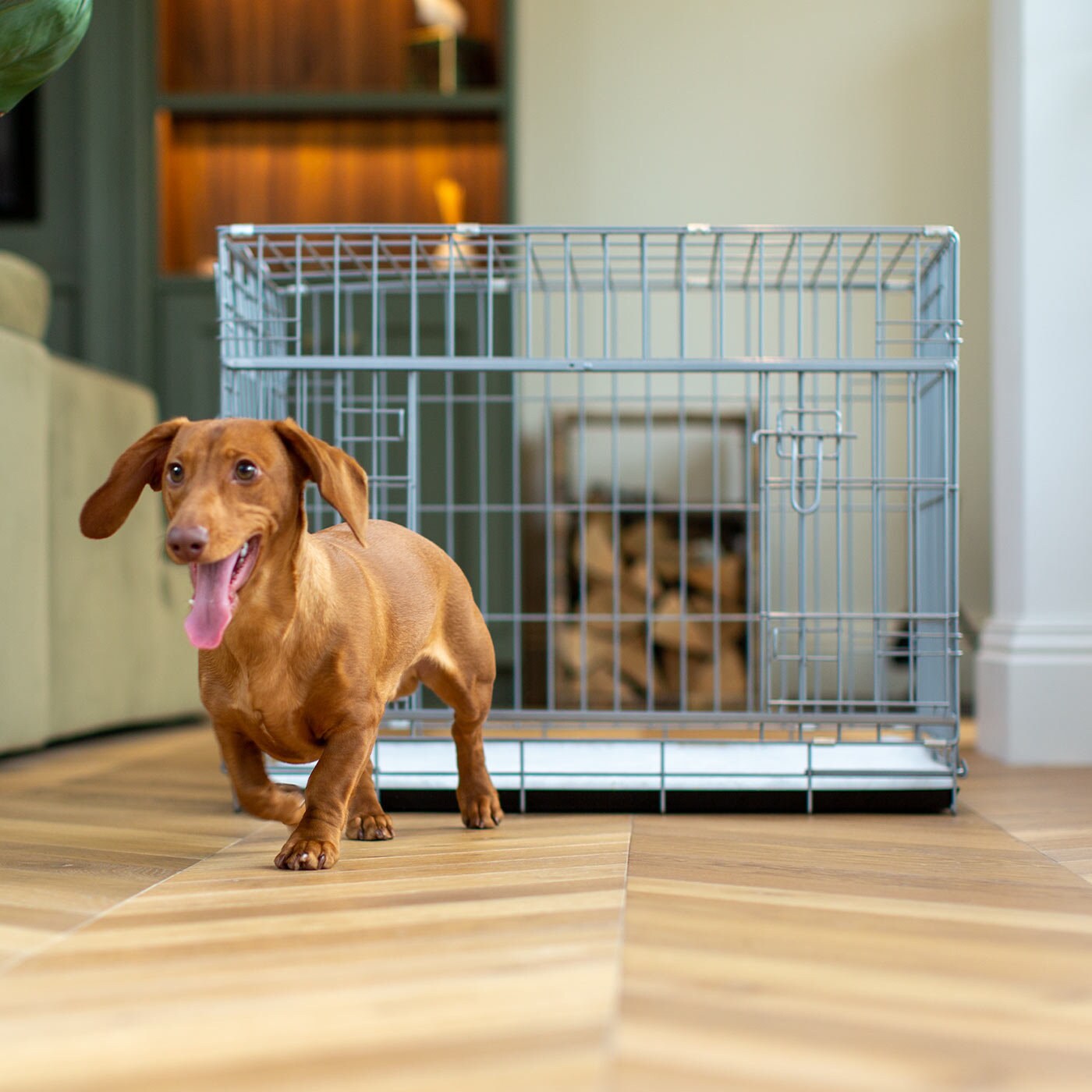Savic dog top residence with cushion