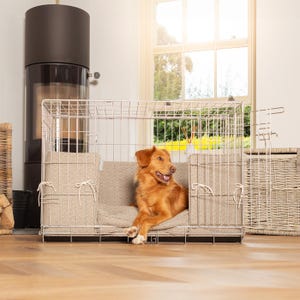 May include: A metal dog crate with a beige cushion and a dog inside. The crate has a wire frame and a door. The dog is golden and is lying down. The crate is in a room with a window and a fireplace.