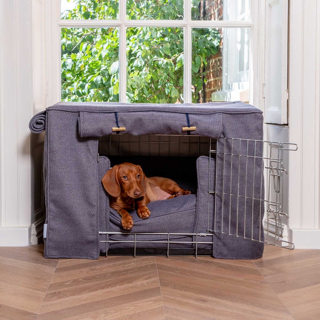 Can My Puppy Sleep In The Crate at Clay Hirschman blog