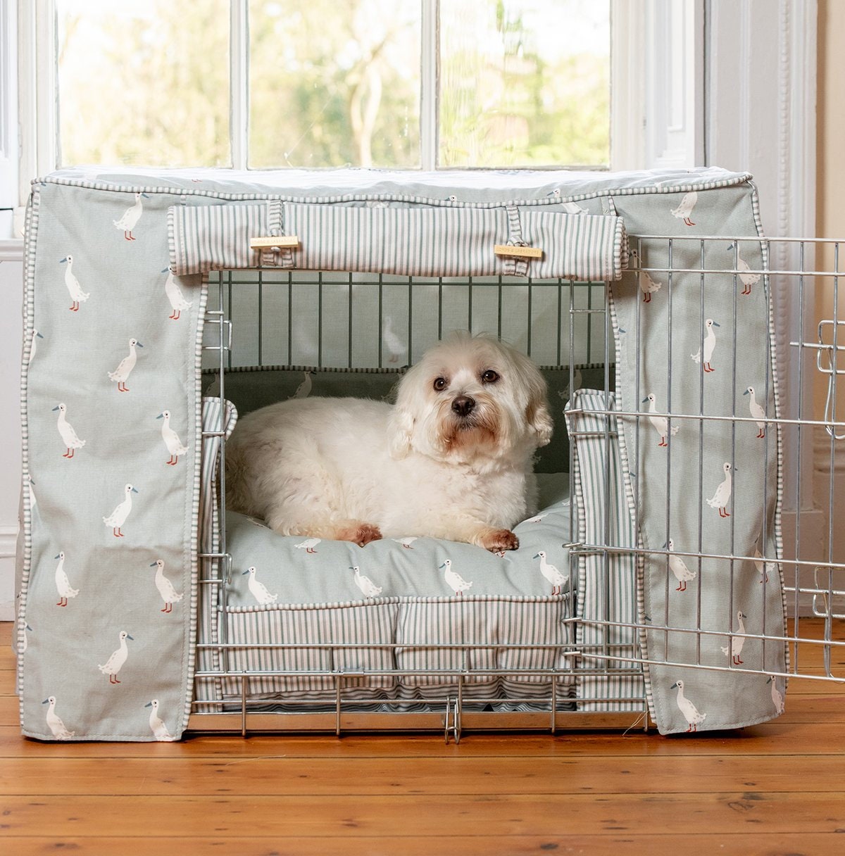 petsense dog crate