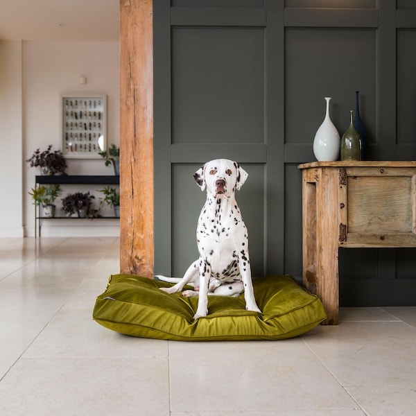 Dog Cushion - Etsy - Decorative Dog Crate With Cushion Seat