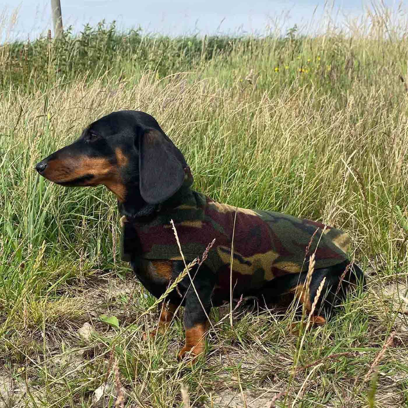 Dachshund hunting outfit cheap