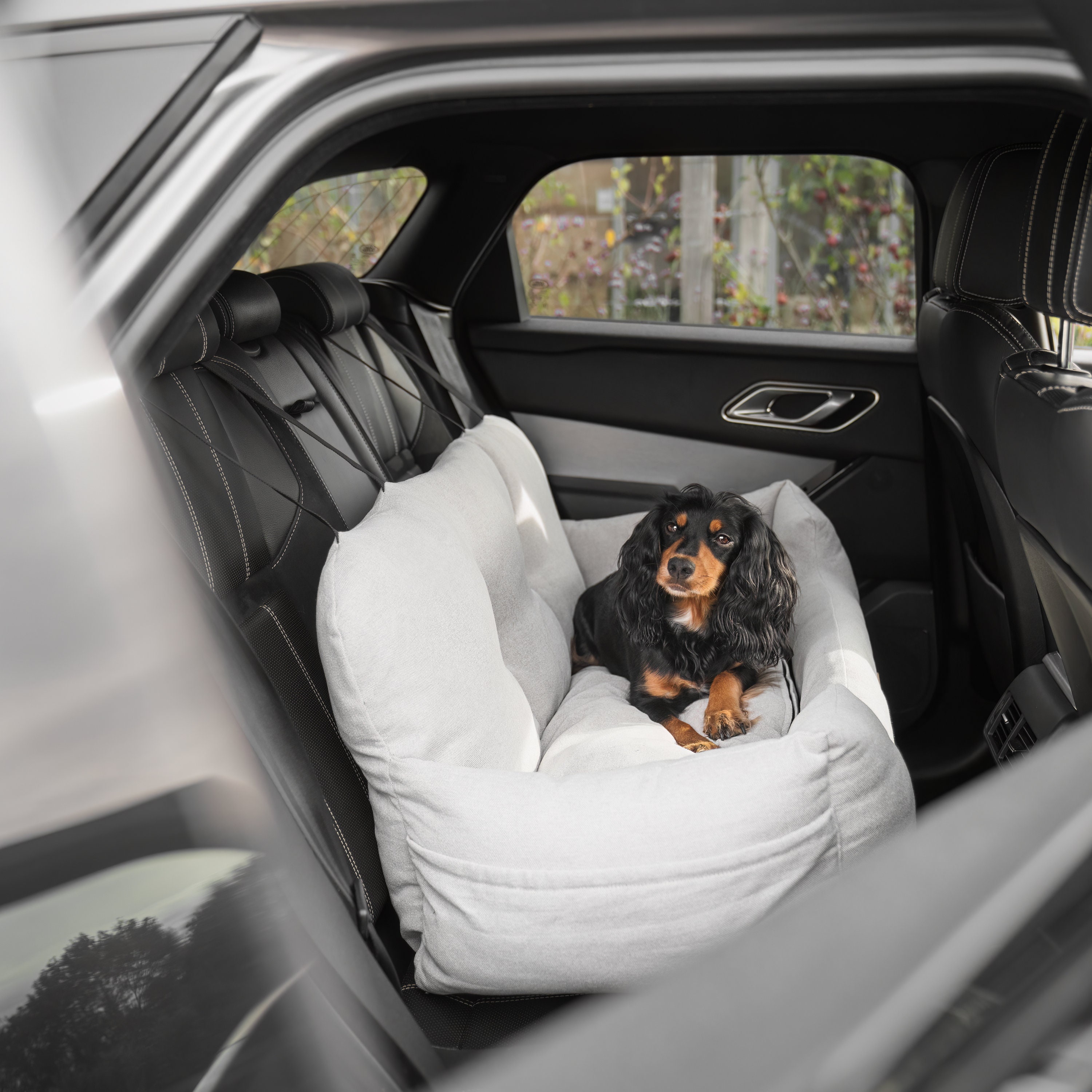 Hund Auto Hundesitz Autositz Hundebox Sitzschutz Hunde Box Decke Leder  Stoff