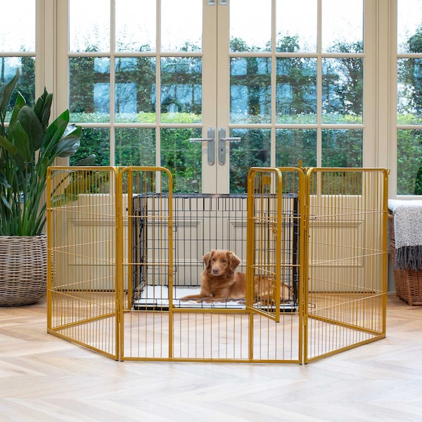 Lords & Labradors 80cm Hoch Welpen Laufgitter | Indoor und Outdoor Hundezaun | Ideal für Hundetraining | Gewährleistung der Sicherheit von Haustieren | Robuster Kugelschreiber