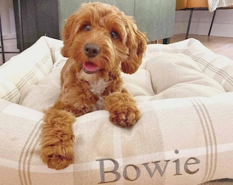 May include: A brown and white dog with curly fur is lying in a beige and white plaid dog bed. The bed has the name "Bowie" embroidered on it.