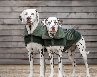 May include: Two Dalmatian dogs wearing green fleece dog coats stand in front of a wooden wall. The dogs are looking at the camera.