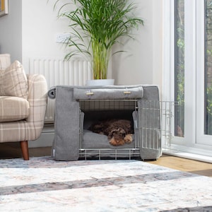 Pet Crates & Kennels