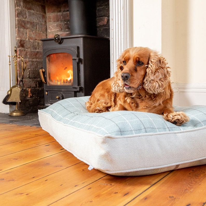 Balmoral Twist Dog Cushion Bed in Duck Egg One Cushion Two Etsy