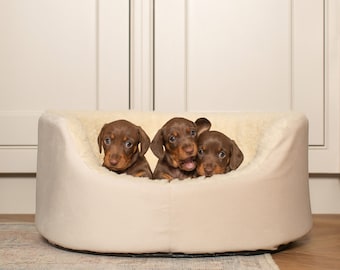 Lords & Labradors Luxury Grow With Me Dog Bed | Puppy's First Bed | The Perfect Bed For Puppy Growth | Non-Slip Base | Suitable For All Pups