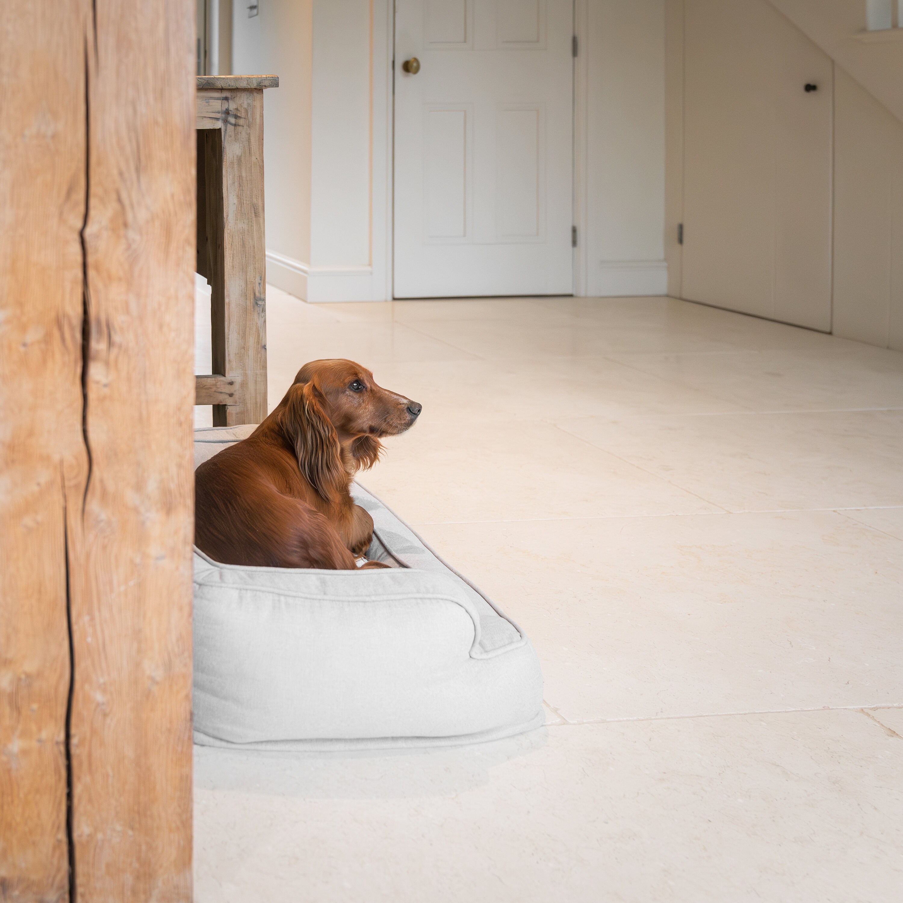 Casper dog bed small hot sale