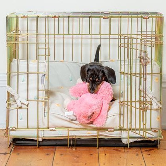 gold dog crate