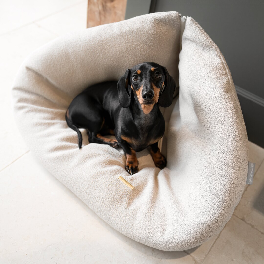 Eddie bauer dog beds online