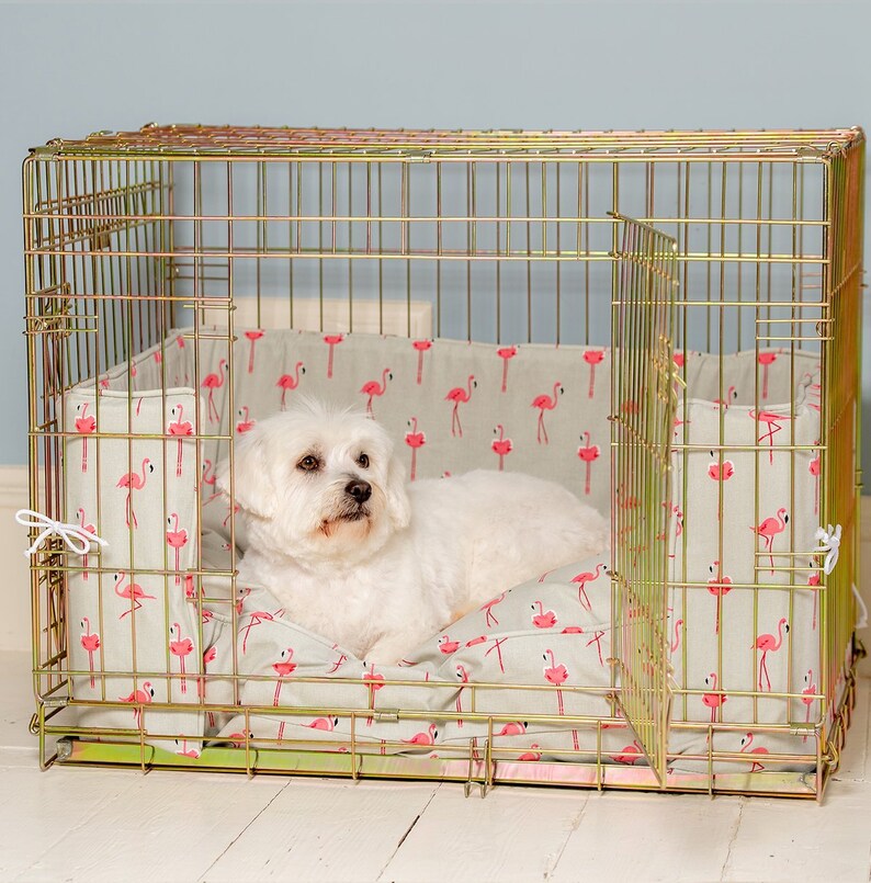lords and labradors crate