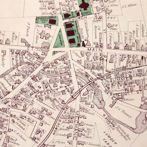 Leominster Large - Il P3lp 