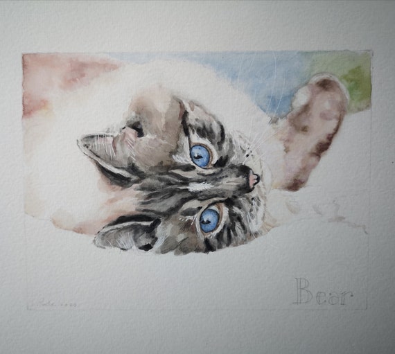 Portrait De Chat Personnalise Aquarelle Personnalisee De Etsy France