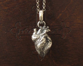 May include: A silver anatomical heart pendant necklace. The heart is detailed and realistic, with a textured surface.