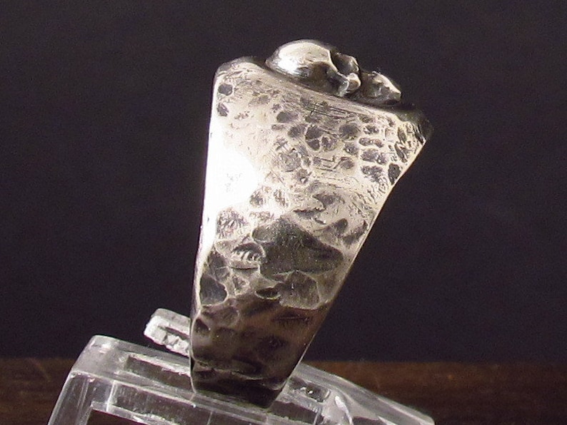Pu&ograve; includere: Un anello d'argento con una fascia testurizzata e un design a forma di teschio. Il teschio &egrave; dettagliato e ha una finitura martellata ruvida.