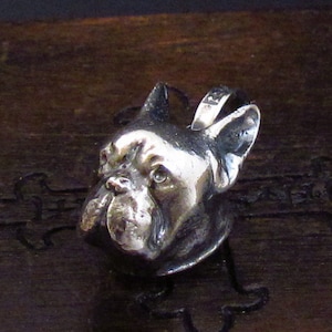 MySacrum  FRENCH BULLDOG