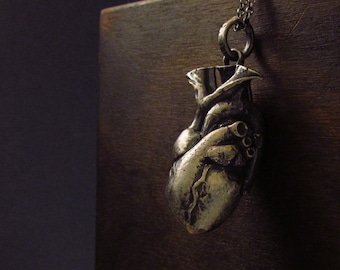 MySacrum ANATOMICAL HEART-BIG