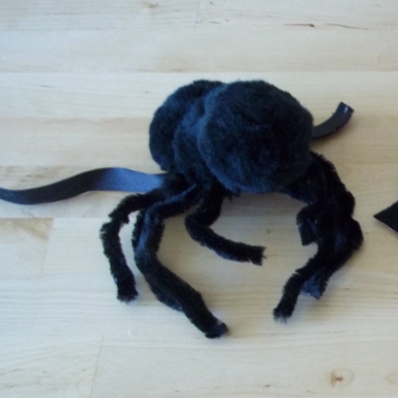 Rat Spider Costme