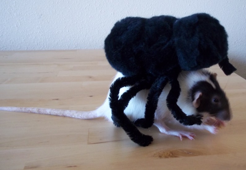 Rat Spider Costme