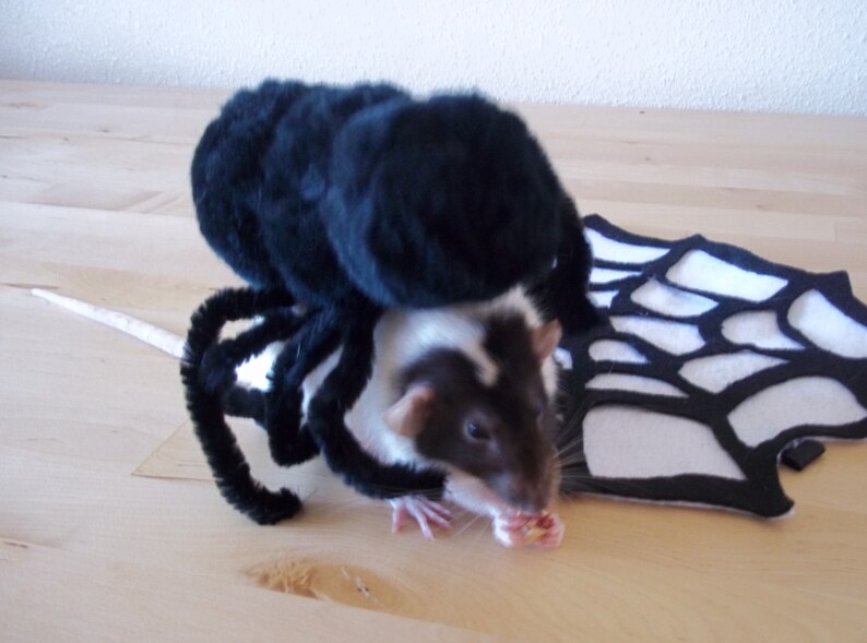 Rat Spider Costme