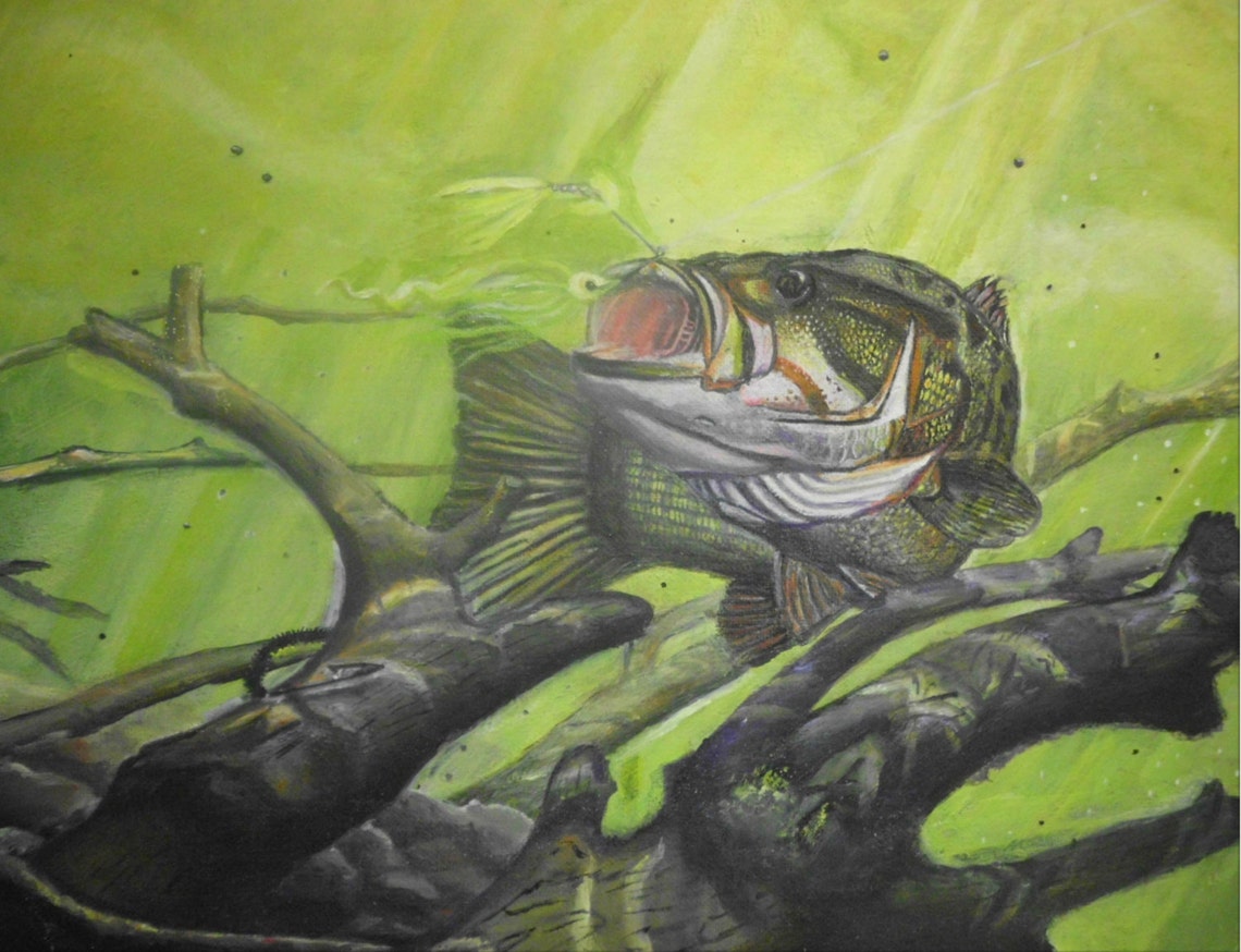 Striking BassFine Art Print Acrylic Painting by Tammy Etsy