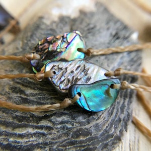 May include: Three abalone shell charms on brown braided cords. The shells are iridescent with shades of blue, green, and purple.
