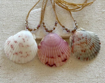 Real Seashell Pendant Necklace, Beachy Jewelry, Earthy Waterproof Surfer Necklace, Mermaid Beach Necklace, Ocean Theme Jewelry for Women