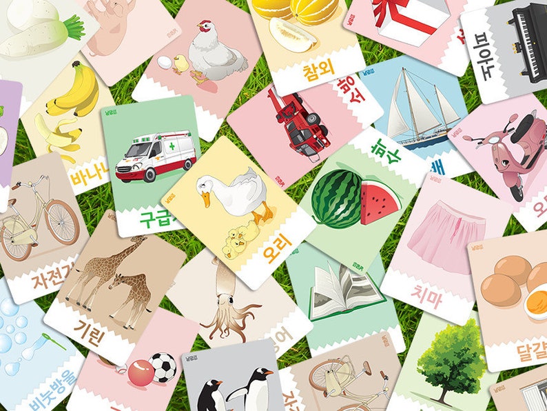 Korea Alphabet Hangeul Flash Cards Korean Language Hangul Etsy