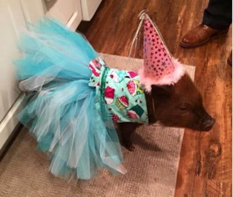 Birthday Tutu Dress