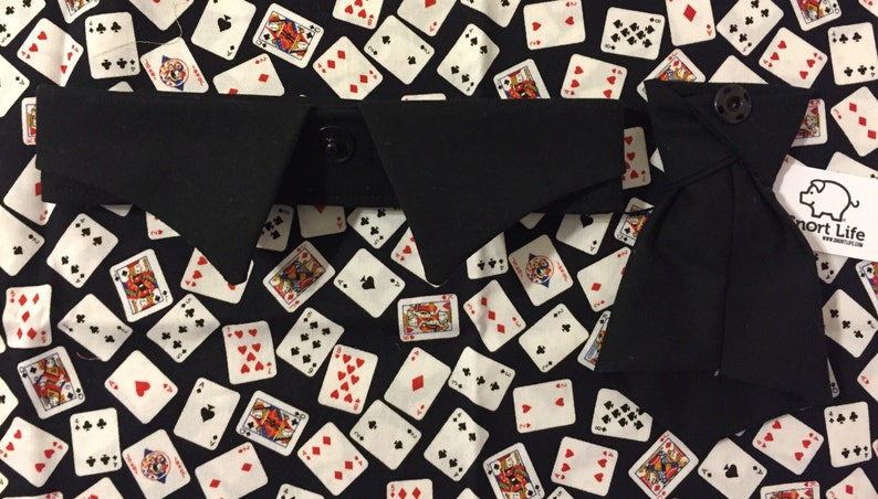 What Happens In Vegas Neck Tie Collar Set