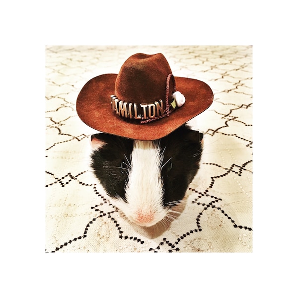 His & Hers Rabbit or Guinea Pig Personalized Cowboy Hat