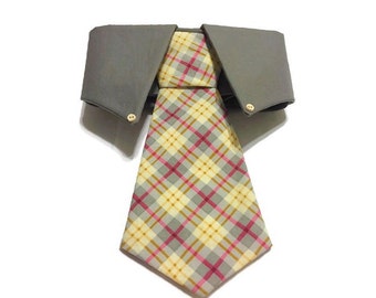 Mr Stanley T Necktie Collar Set