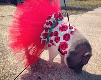 Rosie rode tutu jurk