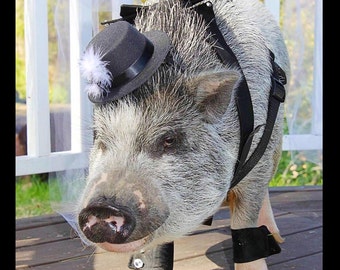 Oinktastic Top Hat