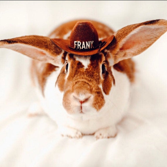 Guinea Pig Personalized Cowboy Hat 