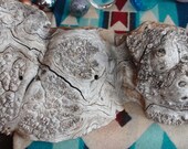 Amazing Blooming Burl Raw Natural Chunk Live-Edge Box Elder Wood 3D Sculpture Freestanding Woodworking Lathe Carving Blank Rustic Tree Art