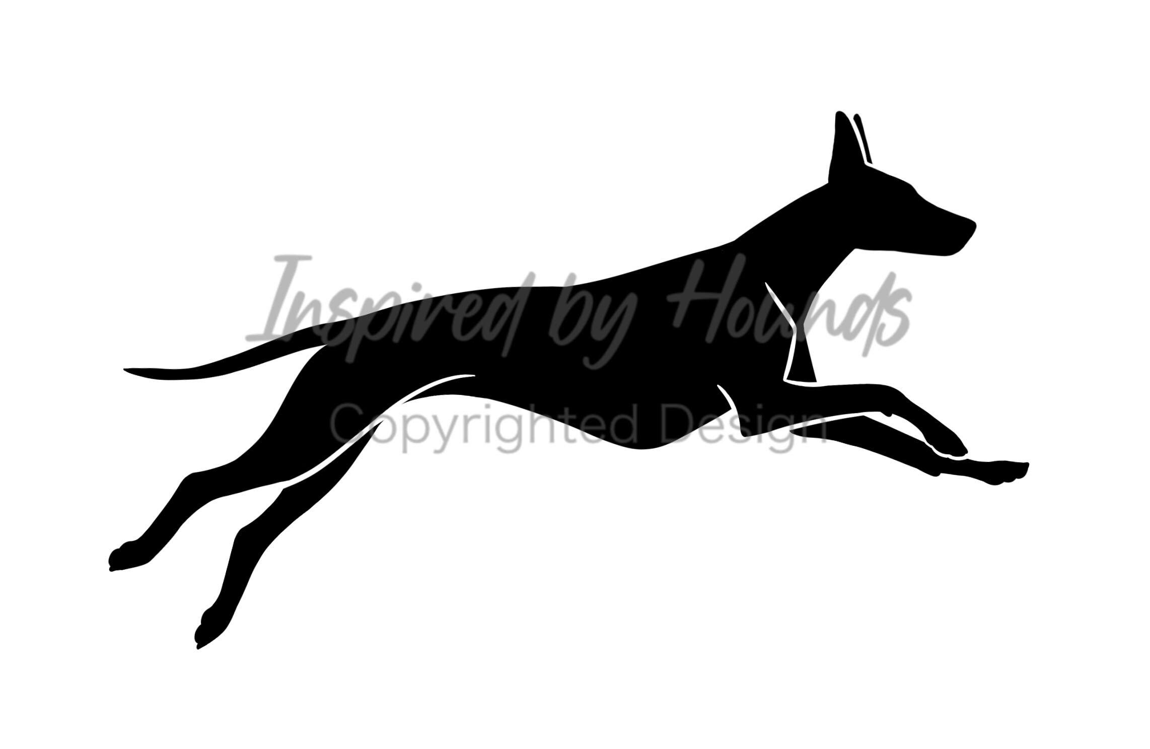 Pharaoh Hound Vinyl Decal