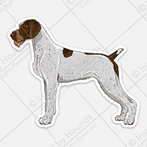 Könnte beinhalten: Ein stehender, weiß-braun gefleckter Deutsch Kurzhaar mit dem Kopf nach links gedreht. Der Hund hat einen braunen Fleck auf dem Rücken und einen braunen Kopf.
