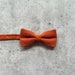 see more listings in the Bow Ties/Ties Only section