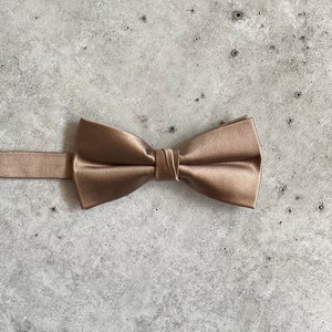 Taupe Satin Silk Bow Ties for Men Wedding Bow Ties For Groomsmen Bohemian Earth Toned Wedding image 10