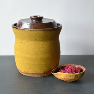 1-GL Fermentation Crock Desert glaze