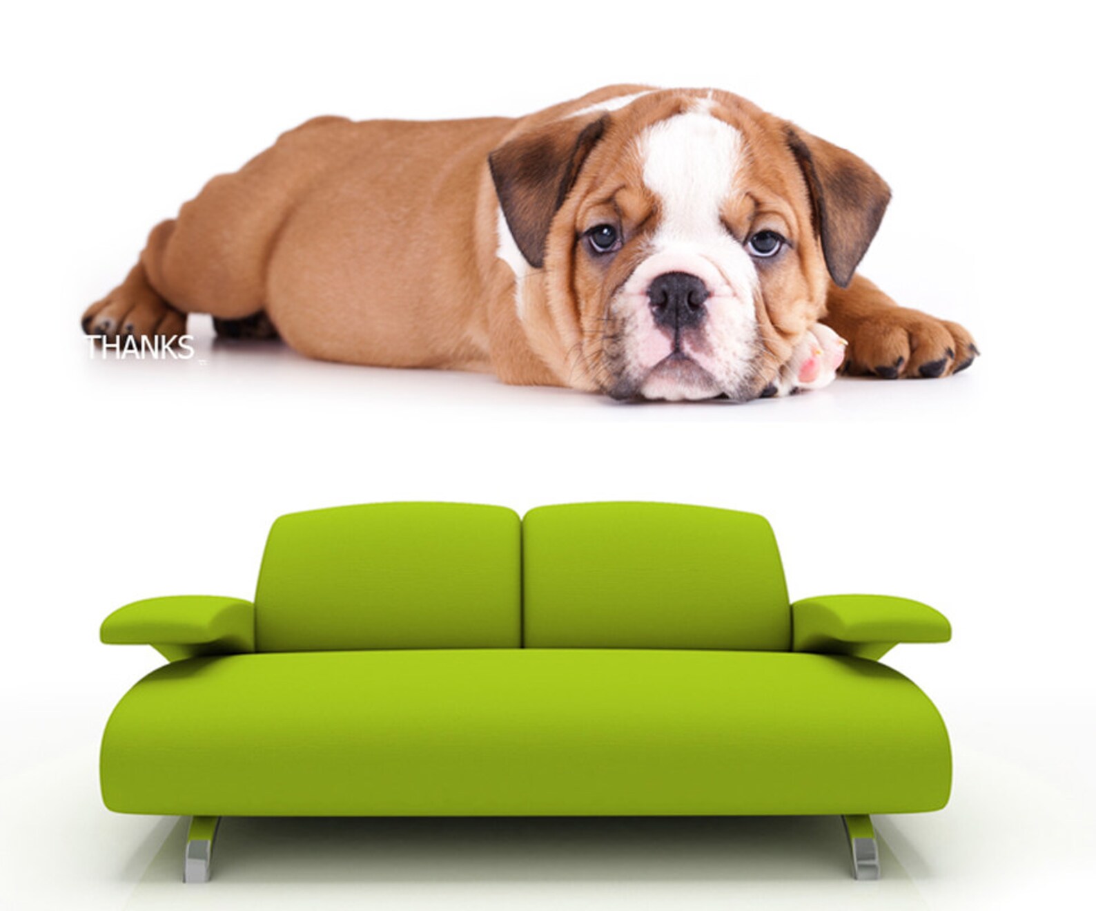 Puppy Wall Decal, Dog Sleeping Wall Sticker Removable Vinyl Animal
