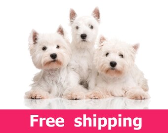 West Highland White Terrier dogs wall sticker, dogs wall decal removable vinyl animal mural pet paw dog wall decor, dog wall art [img076]