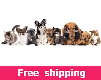Dogs and cats wall sticker, puppy and kitten wall sticker removable vinyl animal mural pet paw shar pei pomeranian bulldog chihuahua [FL040]
