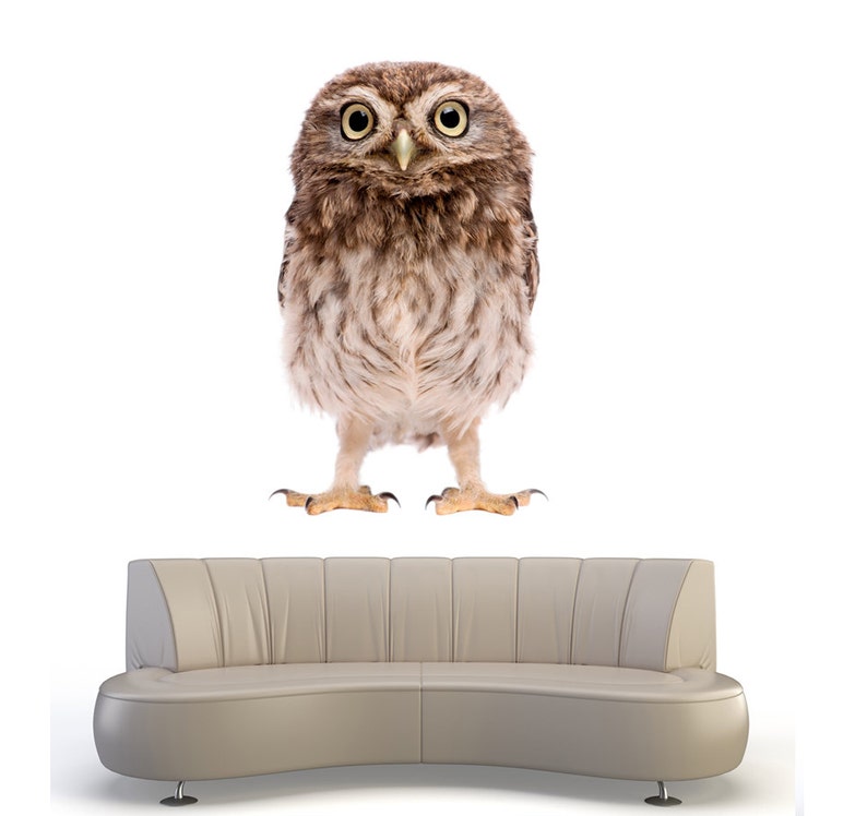 Owl Wall Decal Owl Wall Sticker Removable Vinyl Wild Animal Etsy UK