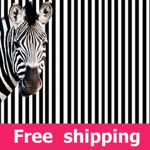 Zebra wall sticker room decor, zebra wall decal removable vinyl animal zebra room design. zebra print stripe mural zebras wall art img060 image 1