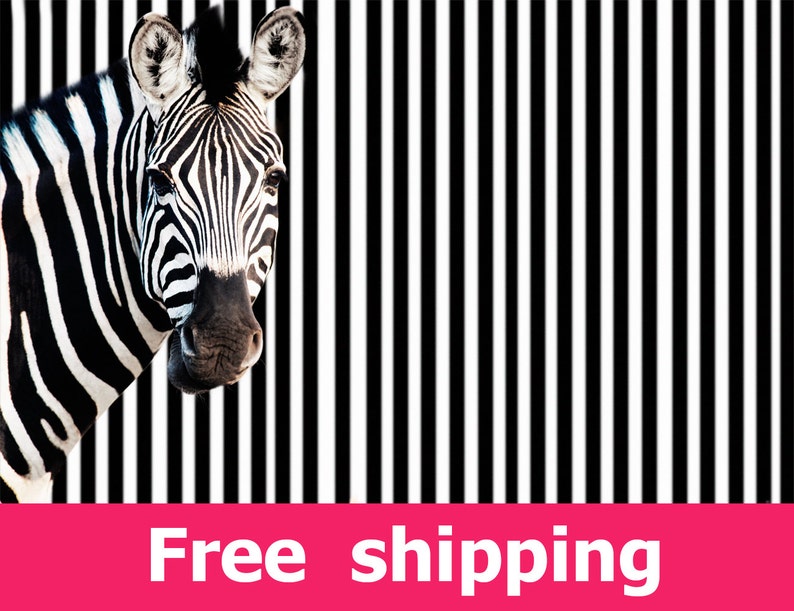 Zebra wall sticker room decor, zebra wall decal removable vinyl animal zebra room design. zebra print stripe mural zebras wall art img060 image 1