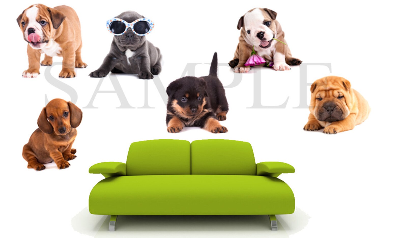 SET of Puppies Wall Decal Dog Set for Children Design Puppy Etsy